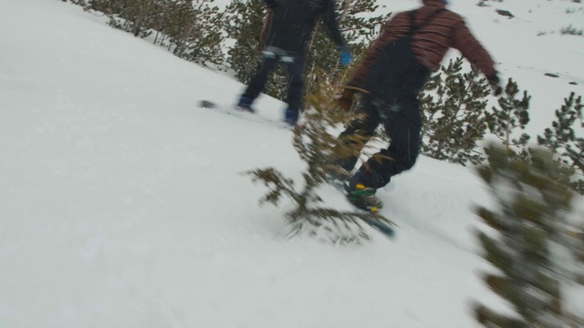 Video Reference N2: Sports equipment, Skateboard deck, Snow, Slope, Snowboarding, Terrain, Tree, Freezing, Snowboard, Recreation