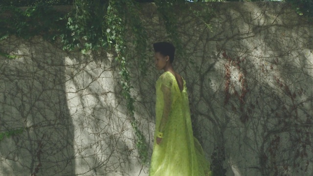 Video Reference N4: Plant, Flash photography, People in nature, Wood, Twig, Trunk, Terrestrial plant, Fawn, Tints and shades, Grass