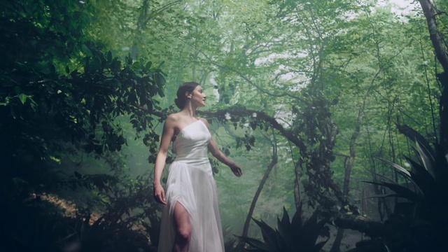 Video Reference N1: Plant, Wedding dress, Dress, People in nature, Tree, Flash photography, Gesture, Sunlight, Bridal party dress, Gown