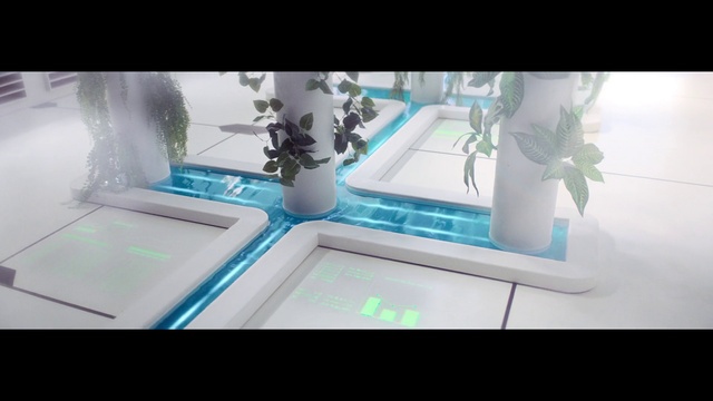 Video Reference N0: Flower, Azure, Plant, Rectangle, Aqua, Gadget, Material property, Electric blue, Room, Glass