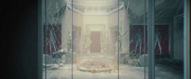 Video Reference N3: Wood, Door, Freezing, Tints and shades, Twig, Glass, Art, Symmetry, Transparent material, Visual arts