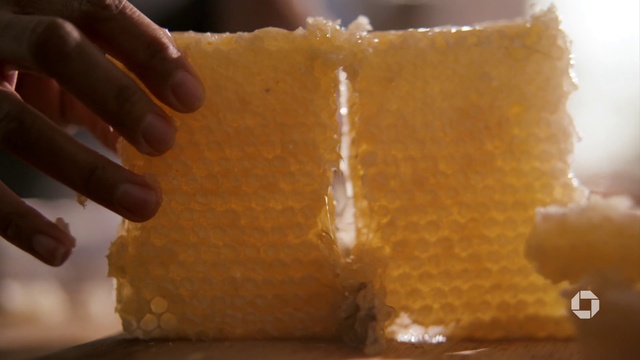 Video Reference N2: Food, Ingredient, Grana padano, Cuisine, Parmigiano-reggiano, Cheese, Dish, Baked goods, Dairy, Wood