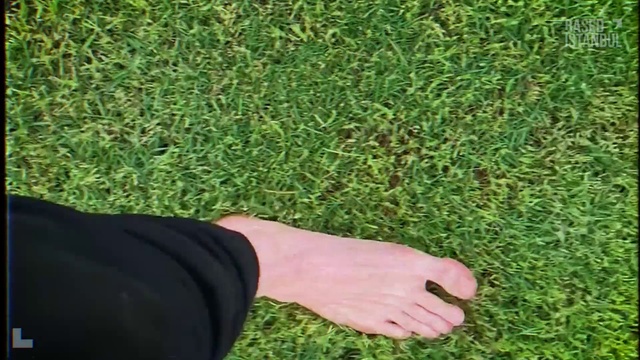 Video Reference N1: People in nature, Plant, Leaf, Green, Grass, Gesture, Terrestrial plant, Sleeve, Groundcover, Wrist