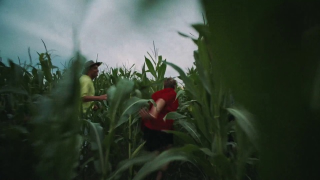 Video Reference N2: Plant, Flower, People in nature, Petal, Terrestrial plant, Atmospheric phenomenon, Agriculture, Grass, Flowering plant, Landscape