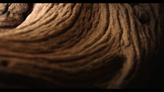 Video Reference N2: Wood, Grey, Tints and shades, Hardwood, Trunk, Landscape, Circle, Pattern, Space, Horizon