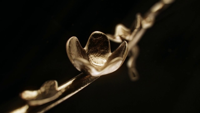 Video Reference N2: Plant, Tableware, Flash photography, Kitchen utensil, Cutlery, Twig, Petal, Darkness, Metal, Fashion accessory