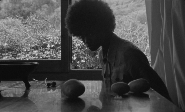 Video Reference N8: Photograph, White, Window, Black, Human, Plant, Table, Black-and-white, Wood, Standing
