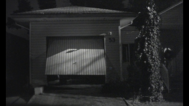 Video Reference N5: Black-and-white, Building, Plant, Road surface, Door, Automotive lighting, Tints and shades, Midnight, Monochrome photography, Garage door