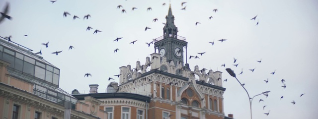 Video Reference N4: Sky, Bird, Building, Window, Tree, Clock, Plant, Tower, Morning, City