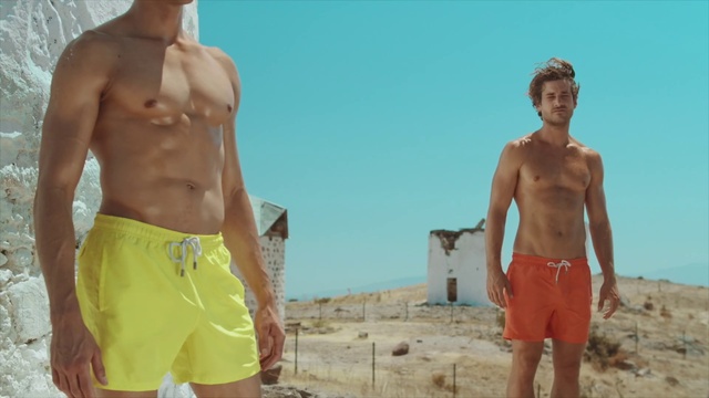 Video Reference N19: Shorts, Photograph, Trunks, Muscle, People on beach, Sky, Standing, Gesture, Bermuda shorts, Beach