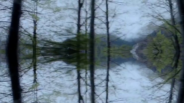 Video Reference N17: Sky, Water, Plant, Natural landscape, Wood, Twig, Trunk, Watercourse, Bank, Atmospheric phenomenon
