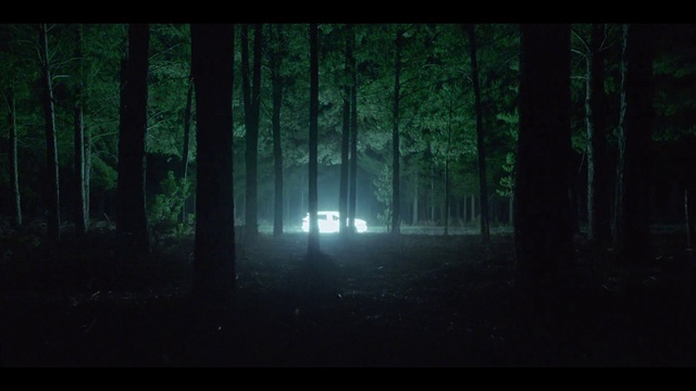 Video Reference N2: Atmosphere, Plant, Automotive lighting, Natural landscape, Tree, Branch, Wood, Trunk, Terrestrial plant, Atmospheric phenomenon