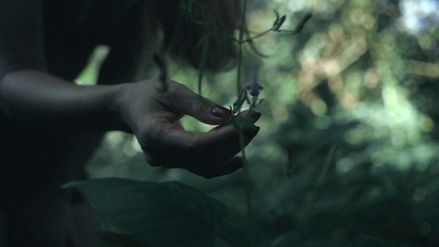 Video Reference N1: Hand, Flash photography, Gesture, Plant, Finger, People in nature, Twig, Tints and shades, Grass, Nail