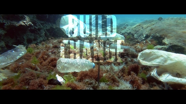 Video Reference N8: Water, Underwater, Fluid, Organism, Marine biology, Plant, Coral, Reef, Stony coral, Landscape