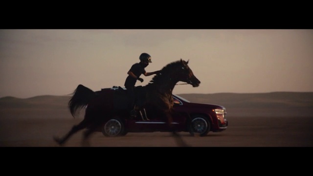 Video Reference N1: Horse, Wheel, Sky, Tire, Vertebrate, Vehicle, Automotive tire, Working animal, Horse tack, Bridle