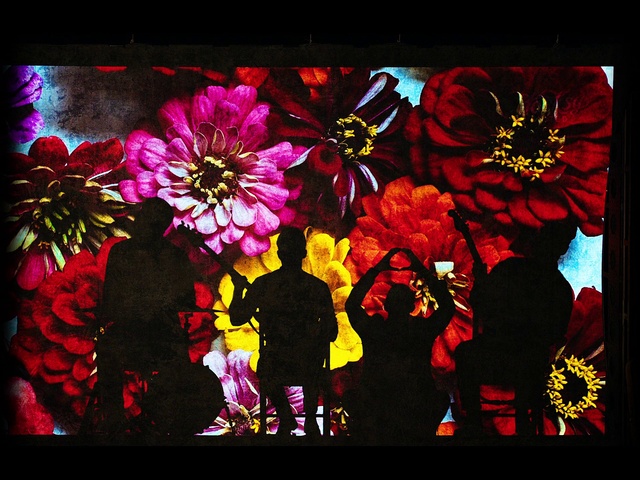 Video Reference N5: Flower, Rectangle, Petal, Creative arts, Art, Font, Magenta, Painting, Tints and shades, Plant