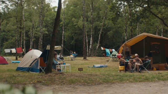 Video Reference N5: Tent, Plant, Tree, Shade, Camping, Tarpaulin, Chair, Style, Woody plant, Leisure