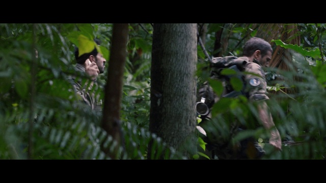 Video Reference N4: Plant, Terrestrial plant, People in nature, Soldier, Military camouflage, Tree, Forest, Marines, Grass, Personal protective equipment