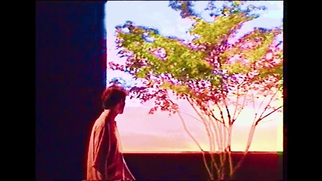 Video Reference N2: People in nature, Rectangle, Branch, Lighting, Natural landscape, Pink, Magenta, Red, Flower, Sky