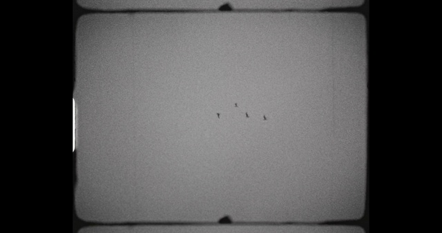 Video Reference N0: Rectangle, Grey, Gadget, Tints and shades, Font, Display device, Symmetry, Monochrome photography, Monochrome, Laptop part