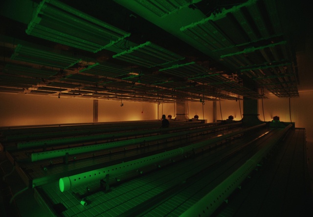 Video Reference N1: Green, Building, Flooring, Gas, Tints and shades, Swimming pool, Symmetry, Engineering, Composite material, Ceiling