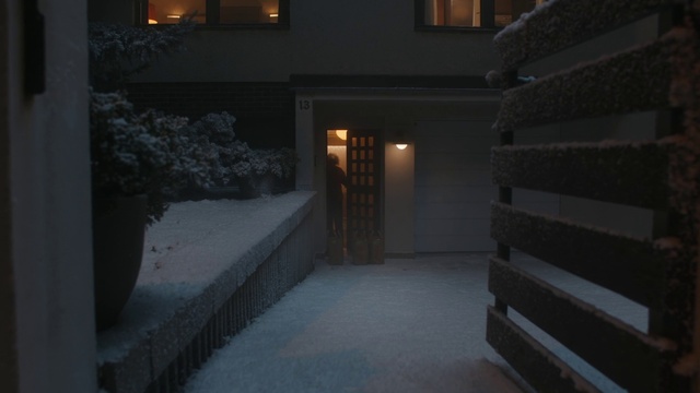 Video Reference N3: Building, Snow, Road surface, Tints and shades, Plant, Wood, House, Security lighting, Freezing, Winter