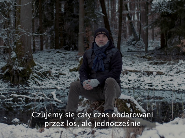 Video Reference N10: Plant, Snow, Vertebrate, Nature, Tree, Branch, Wood, Natural landscape, Freezing, People in nature