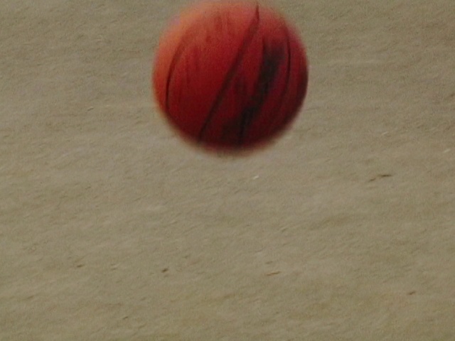 Video Reference N0: Wood, Ball, Basketball, Tints and shades, Sports equipment, Petal, Plant, Circle, Peach, Electric blue