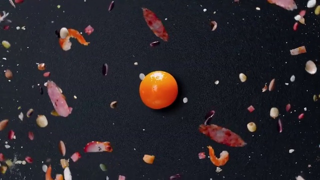 Video Reference N1: Food, Organism, Orange, Ingredient, Natural foods, Cuisine, Space, Science, Astronomical object, Fish