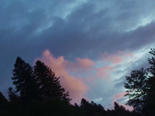 Video Reference N3: Cloud, Sky, Atmosphere, Afterglow, Tree, Natural landscape, Sunset, Dusk, Red sky at morning, Sunrise