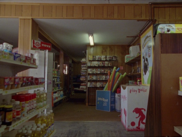 Video Reference N1: Property, Shelf, Product, Shelving, Publication, Wood, Building, Retail, Flooring, Convenience store