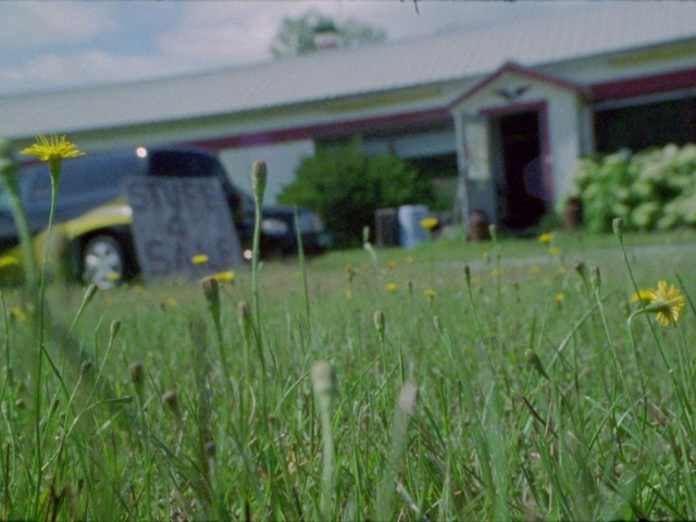 Video Reference N2: Plant, Flower, Sky, Cloud, Tire, Car, Land lot, Grass, Vehicle, House