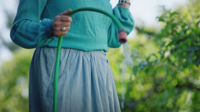Video Reference N8: Outerwear, Dress, Neck, Sleeve, Street fashion, Grass, People in nature, Happy, Waist, Electric blue