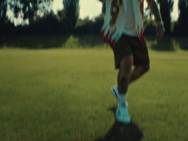 Video Reference N4: Plant, Shorts, People in nature, Flash photography, Gesture, Happy, Player, Tree, Knee, Grass