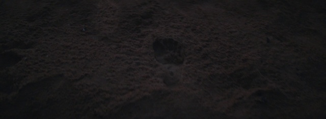 Video Reference N8: Brown, Sky, Astronomical object, Event, Pattern, Darkness, Soil, Flooring, Midnight, Concrete