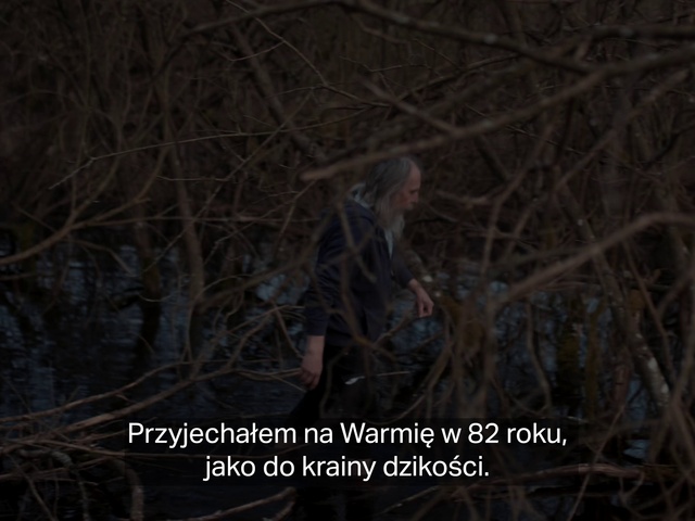Video Reference N1: Twig, Wood, Terrestrial plant, Grass, Plant, Font, Forest, Event, Trunk, Midnight