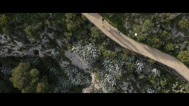 Video Reference N1: Plant, Water, Terrestrial plant, Natural landscape, Trunk, Wood, Twig, Grass, Tints and shades, Tree