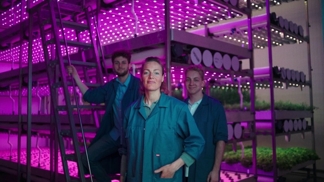 Video Reference N1: Plant, Purple, Coat, Tie, Lighting, Pink, Violet, Entertainment, Fun, Flash photography