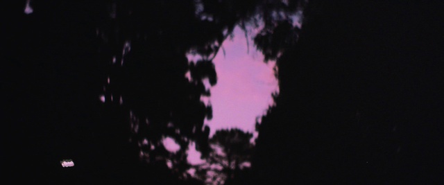 Video Reference N5: Sky, Purple, Plant, Violet, Tints and shades, Astronomical object, Twig, Cloud, Midnight, Tree