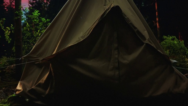Video Reference N0: Plant, Tent, Tarpaulin, Shade, Wood, Camping, Grass, Tree, Terrestrial plant, Tints and shades