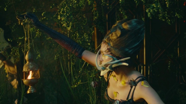 Video Reference N2: People in nature, Plant, Leaf, Flash photography, Sunlight, Happy, Fawn, Grass, Cg artwork, Eyewear