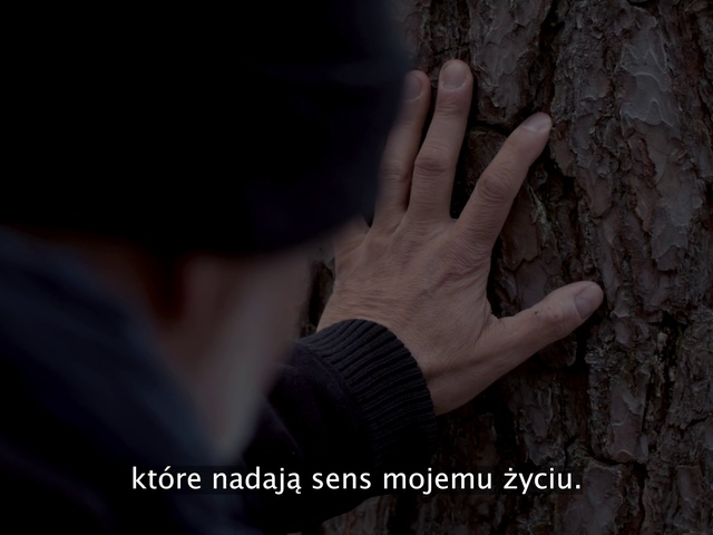 Video Reference N8: Hand, People in nature, Flash photography, Gesture, Finger, Thumb, Nail, Wood, Happy, Wrist