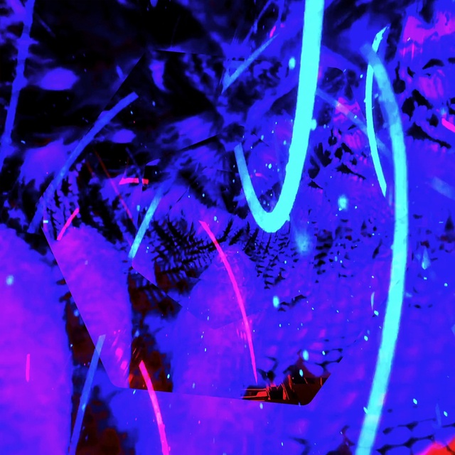 Video Reference N1: Water, Blue, Purple, Azure, Plant, Lighting, Organism, Line, Red, Entertainment