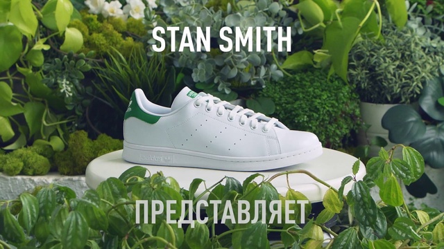 Video Reference N1: Plant, Green, Botany, Grass, Walking shoe, Outdoor shoe, Houseplant, Flowerpot, Groundcover, Shrub