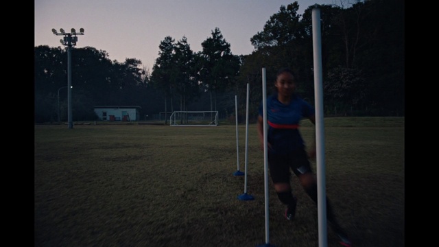 Video Reference N5: Shorts, Sky, Active shorts, Tree, Player, Grass, Sports uniform, Team sport, Ball game, Sports