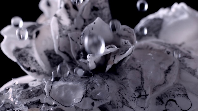 Video Reference N2: Petal, Flower, Organism, Black-and-white, Style, Close-up, Serveware, Monochrome photography, Bouquet, Monochrome