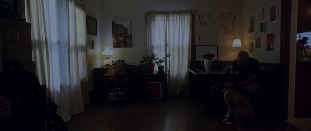 Video Reference N1: Property, Furniture, Picture frame, Curtain, Building, Window, Plant, Houseplant, Table, Wood
