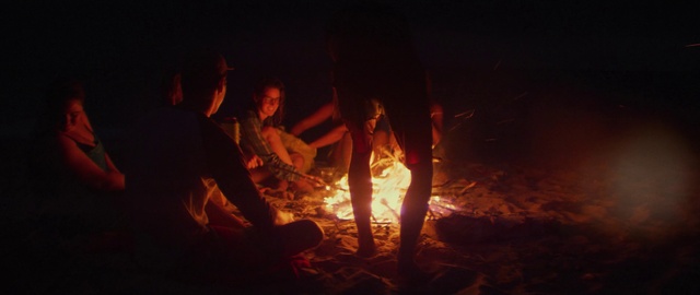 Video Reference N1: Bonfire, Fire, Flame, Campfire, Wood, Heat, Ash, Landscape, Event, People in nature
