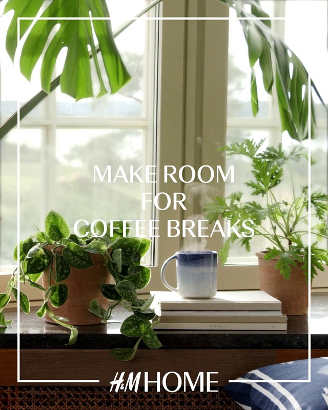 Video Reference N1: Plant, Window, Houseplant, Green, Leaf, Botany, Fixture, Interior design, Drinkware, Flowerpot