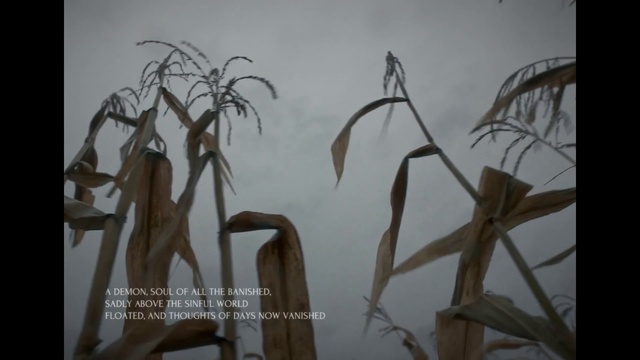 Video Reference N0: Twig, Wood, Terrestrial plant, Grass, Tints and shades, Art, Visual arts, Metal, Event, Plant